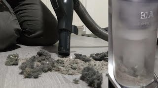 Electrolux Presicion Hose MESS Test & Slow Motion Cyclone Action