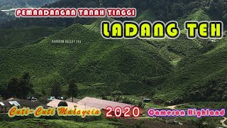 Cuti-Cuti Malaysia 2020 Ladang Teh Di Cameron Highland | Pemandangan ketika hujan & tidak hujan