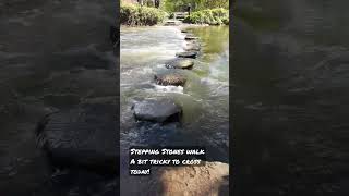 Stepping Stones Walk - Box Hill