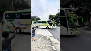 Naiko ketemu PO DOA IBU "Papa Bro" #bismania #busmania #telolet #telolet #teloletbasuri #teloletbus