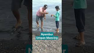 NYEMBUR UMPAN UNTUK MANCING