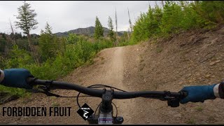 Riding the Fastest Jumpline in Ketchum, Idaho | Forbidden Fruit