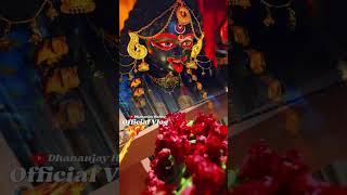 মায়ের জন্য সহস্র জবা 🥰🥰 Kalipuja 2024 #reels #kalipuja2024 #trending #barasatkalipuja2024