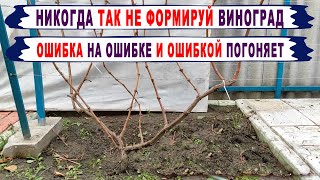 🍇 Ошибка! Никогда ТАК НЕ ФОРМИРУЙ РУКАВА на винограде. Вот что будет с ЭТИМИ рукавами уже через год!