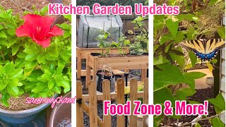 KITCHEN GARDEN UPDATES | FOOD ZONE & MORE