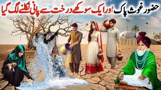 Ghous e azam ka waqya | ghous e pak ki kramat | Ghous e pak |