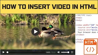 How to insert video in html Page