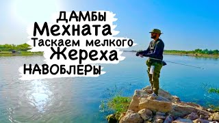 Рыбалка на дамбе Мехната