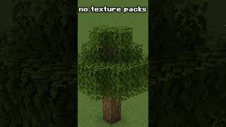 What minecraft looks like in a texturepack #shorts