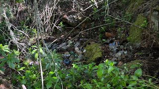 Finding Old Bottles Buried In the Woods Part 2