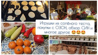 Обзор покупок с OZON, СИН,🤩 новогодние игрушки из солёного теста, 🎄уборка дома 🐝