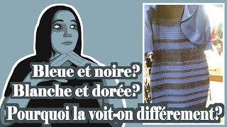 DES ILLUSIONS D'OPTIQUE POUR COMPRENDRE COMMENT LE CONTEXTE INFLUE SUR L'INTERPRETATION DES COULEURS