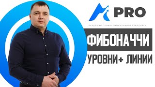 Стратегия Уровни Фибоначчи в 2020 году на рынке Форекс для начинающих