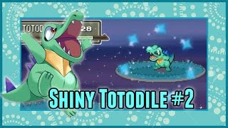 2nd Shiny Totodile at Chain 40! w/ SHINY PATCH