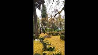 Granada Spain - Golden leaves romantic place