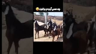 گروه سرود مدرسه😜