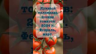 Посевной календарь помидоры март 2024 #садмечты #shorts #рассада #дачасадогород #shorts