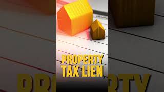 Don't Fear Federal Tax Liens on Properties! Here's Why...