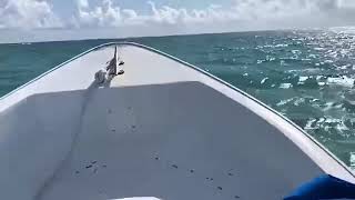 Epic Mahi Mahi fishing schools of Dorado and Tuna (Ambergris Caye) With Amigos Del Mar