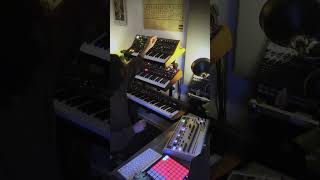 Analog “House Music” Jam 🕺🏽 #housemusic #rd9 #moog #ob6 #improvisation