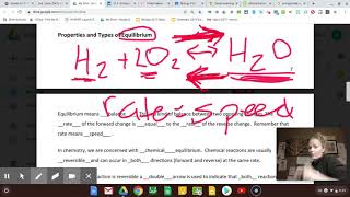 Unit 11 Part H: Equilibrium Definition