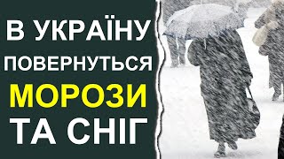 Стала известна дата резкого весеннего похолодания | Погода в Украине в марте 2024