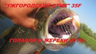 Ужгородский стик 35F. Голавли и жерехи 2015года.