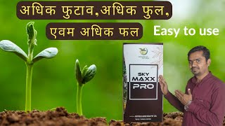 अधीक फुल फल एव्म अधीक फुटाव । Get Bigger and Healthier Plants with Max Pro | Amino acid #Aasankheti