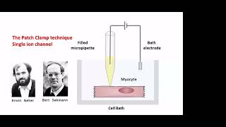 history of cardiac electrophysiology-Prof.Hussien H Rizk