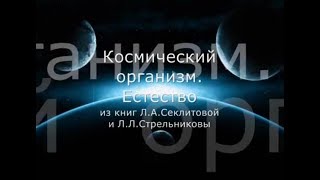 Космический организм. Естество