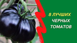 8 лучших сортов черных помидоров