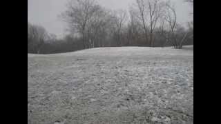 Snow Falling - Time Lapse