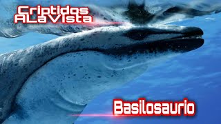 Basilosaurio | La BALLENA ANCESTRAL | #Bestiario Vol.13 | CRIPTOZOOLOGÍA | Criptidos A LA Vista