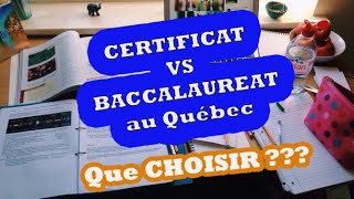 Certificat universitaire VS Baccalauréat au Québec, que choisir ?// je t'explique dans cette vidéo😎