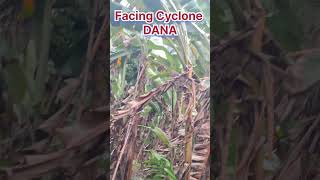 #Dana #cyclone #cycloneDana #odishanews #odishacycloneDana #nature #shorts #viralshorts