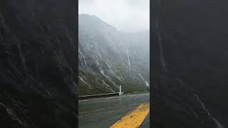 Mystical world of Milford sound | magic to eyes 😍😍😍 #shorts #love #newzealand