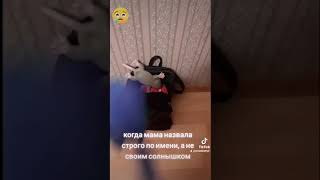 Смешной Йорк -обижака😜