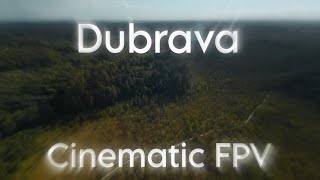 Dubrava Marsh Reserve | Cinematic FPV Film