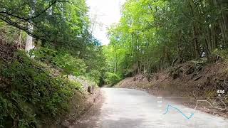 Whitedown Lane Cycling Climb