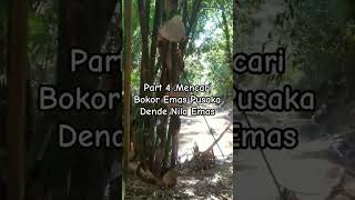 Part 4.Mencari Bokor Emas Pusaka Dende Nila Emas