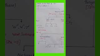 Physical science # particle physics # | classification of elementary particle |