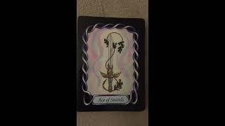 Steele Wizard Tarot flip through