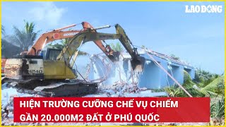 Hiện trường cưỡng chế vụ chiếm gần 20.000m2 đất ở Phú Quốc| Báo Lao Động