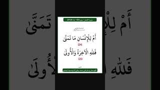 سورة النجم - سورة 53 - اية 25-24