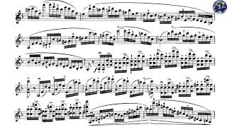 Wieniawski-Violin Concerto No.2 Allegro moderato Piano Accompaniment With Score