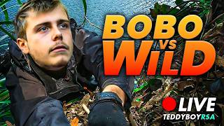 Bobos vs wild