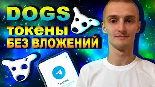 DOGS - Получаем Токены БЕЗ ВЛОЖЕНИЯ За Пользование Telegram/Как Получить DOGS Airdrop