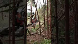 Restoration in progress. #forestry #restoration #storm #damage #woods #equipment #heavyequipment #ai