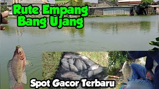 Info Rute Spot Mancing Mujair Empang Bang Ujang Sungai Tirem Marunda