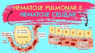 AULA 20: HEMATOSE CELULAR E HEMATOSE PULMONAR